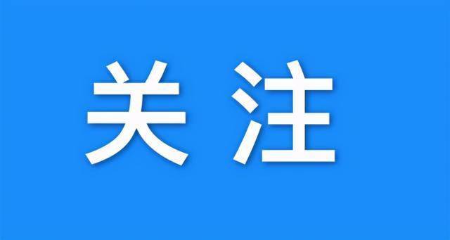 澳门六星彩天天开奖结果查询，最新消息汇总与深度解析